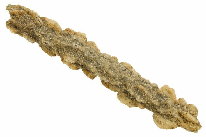 Fulgurite - Petrified Lightning #366376